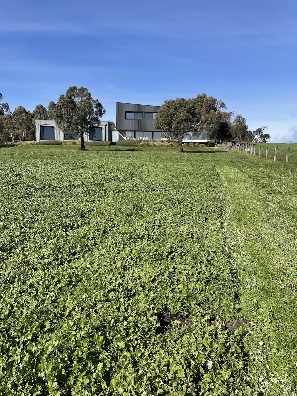 Otway Mowing And Pruning | 381 Murray St, Colac VIC 3250, Australia | Phone: 0400 119 409