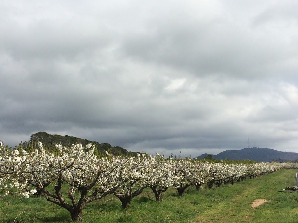 Cantrill Organics | 96 Akhurst Rd, Nashdale NSW 2800, Australia | Phone: 0401 888 745