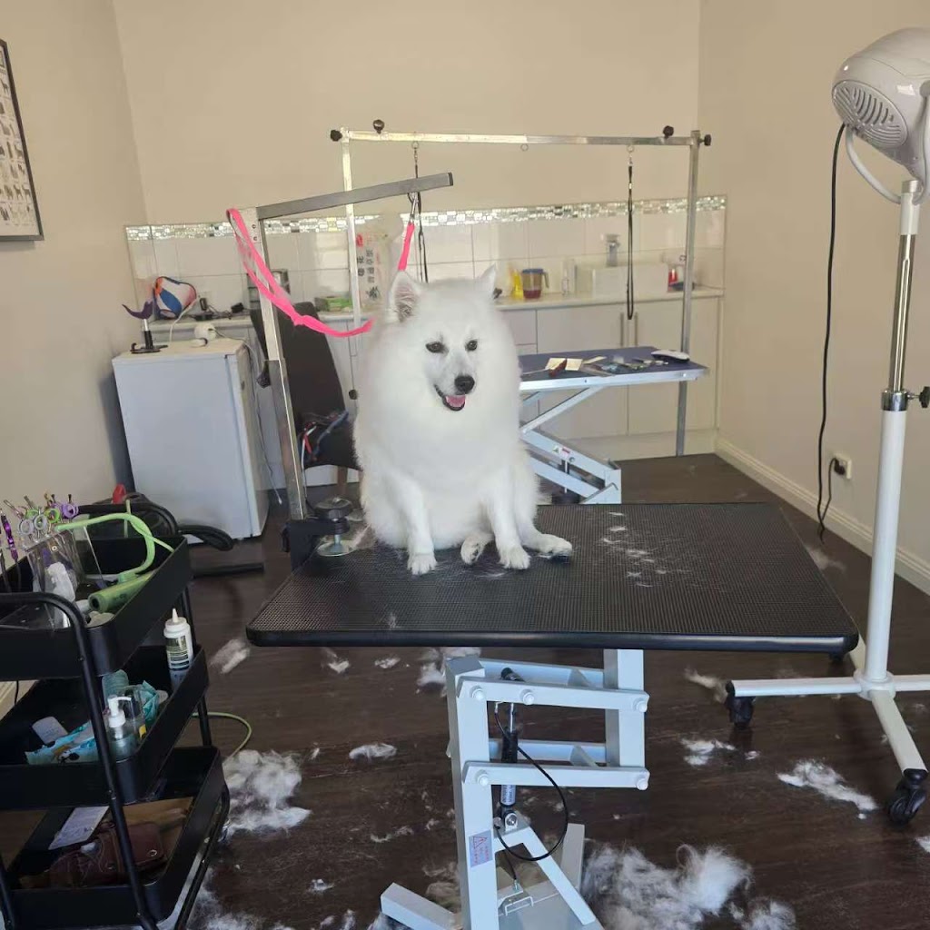 Dreamy Pet Grooming | 142 Greaves Rd, Narre Warren South VIC 3805, Australia | Phone: 0450 801 015