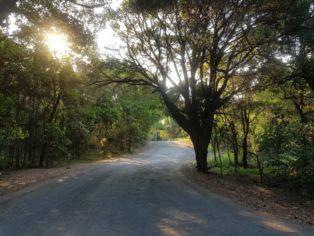 Bushrangers Bay | Bass Point Tourist Rd, Shell Cove NSW 2529, Australia