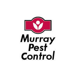 Murray Pest Control - Adelaide | home goods store | 67 Magill Rd, Stepney SA 5069, Australia | 0883341000 OR +61 8 8334 1000