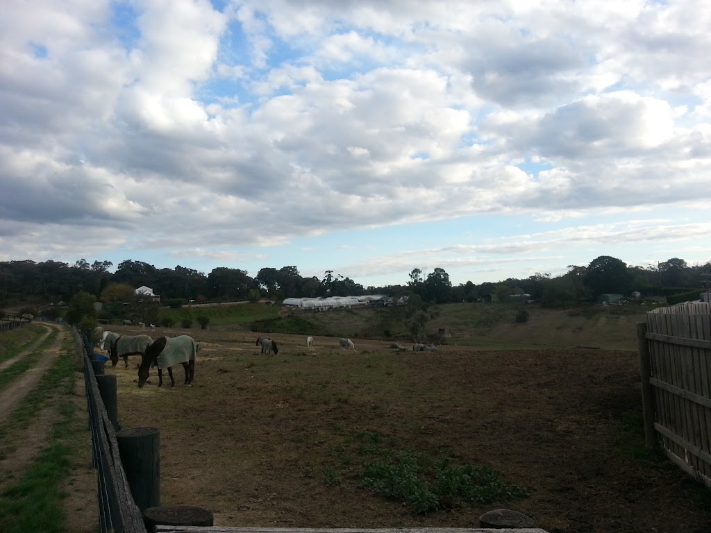 Tandivale Equestrian Centre & Pony Club | 88 Johansons Rd, Warrandyte VIC 3113, Australia | Phone: 0488 244 420