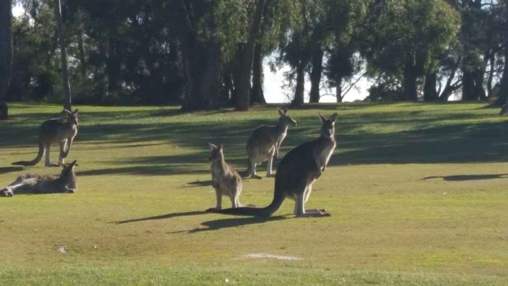 Churchill Park Golf Club | 113 Churchill Park Dr, Endeavour Hills VIC 3802, Australia | Phone: (03) 9700 4445