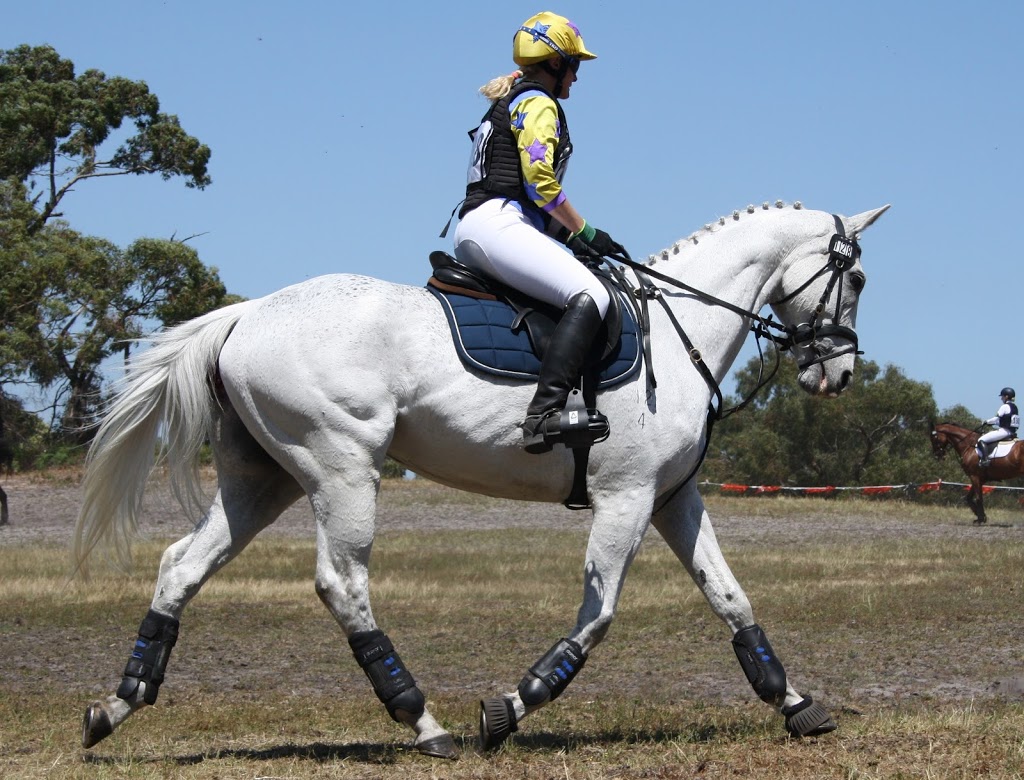 Equus Pty Ltd | 255 Pooley Rd, Nar Nar Goon North VIC 3812, Australia | Phone: 0432 111 896
