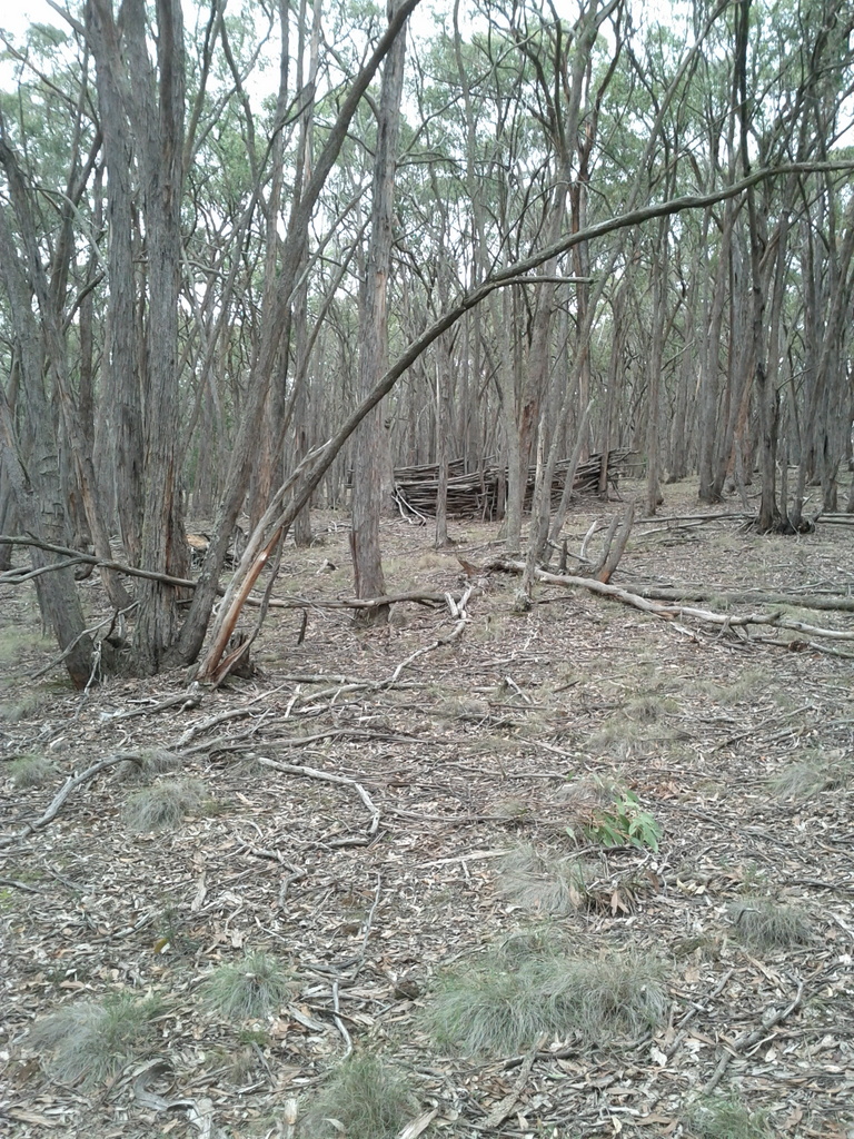 Union Jack Reserve | park | Buninyong VIC 3357, Australia