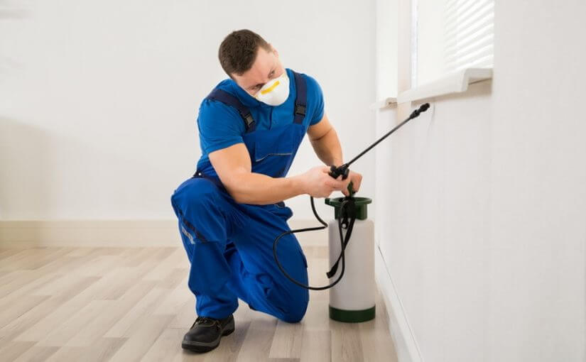 Brisbane Terminator | 193 Pine Mountain Rd, Brassall QLD 4305, Australia | Phone: 0427 022 070