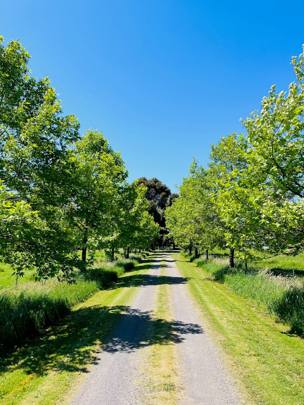 Glenisla Farm House | 89 Harrison Rd, Warrenbayne VIC 3670, Australia | Phone: 0400 750 764