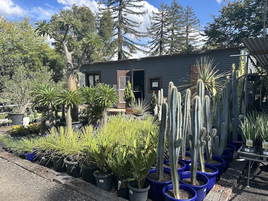 Explosive Growth Nursery | 218 Annangrove Rd, Annangrove NSW 2156, Australia | Phone: 0405 426 919