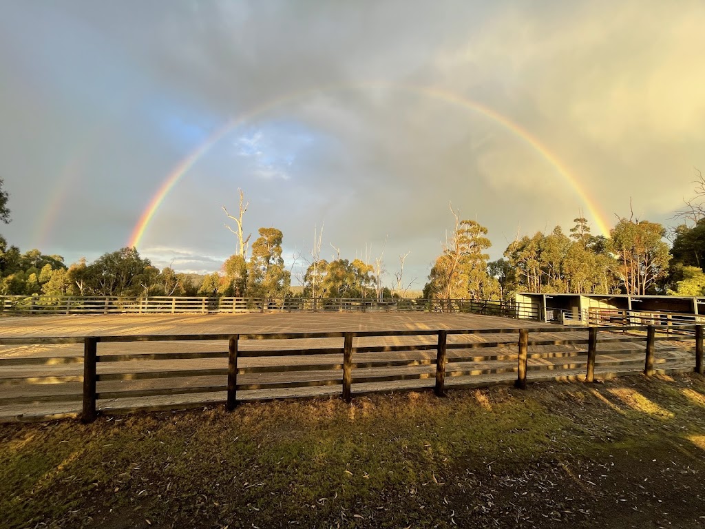 Bayview campn horse trails | 75 Bayview Rd, Jindivick VIC 3818, Australia | Phone: 0424 786 158