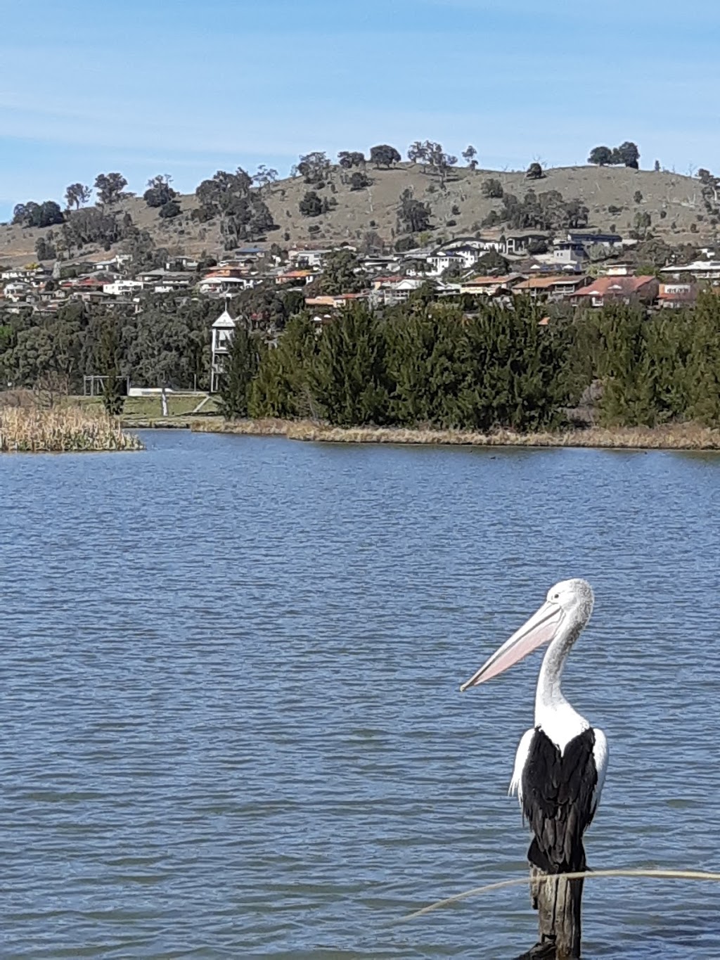 Point Hut Pond District Park | park | Gordon ACT 2906, Australia | 132281 OR +61 132281