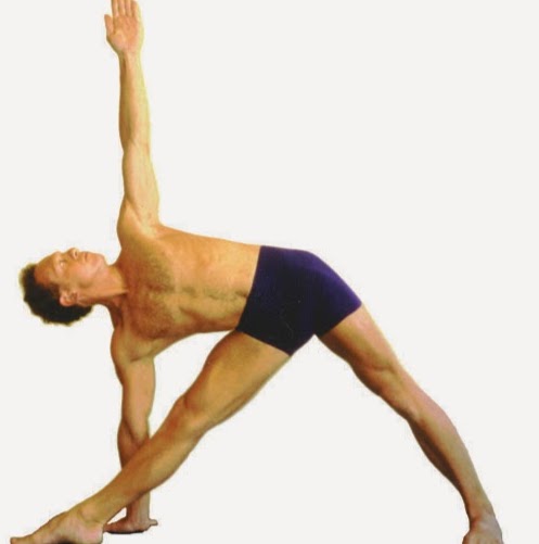 Genius Wellbeing Yoga & Pilates | 81 Pitt St, Eltham VIC 3095, Australia | Phone: 0425 860 170