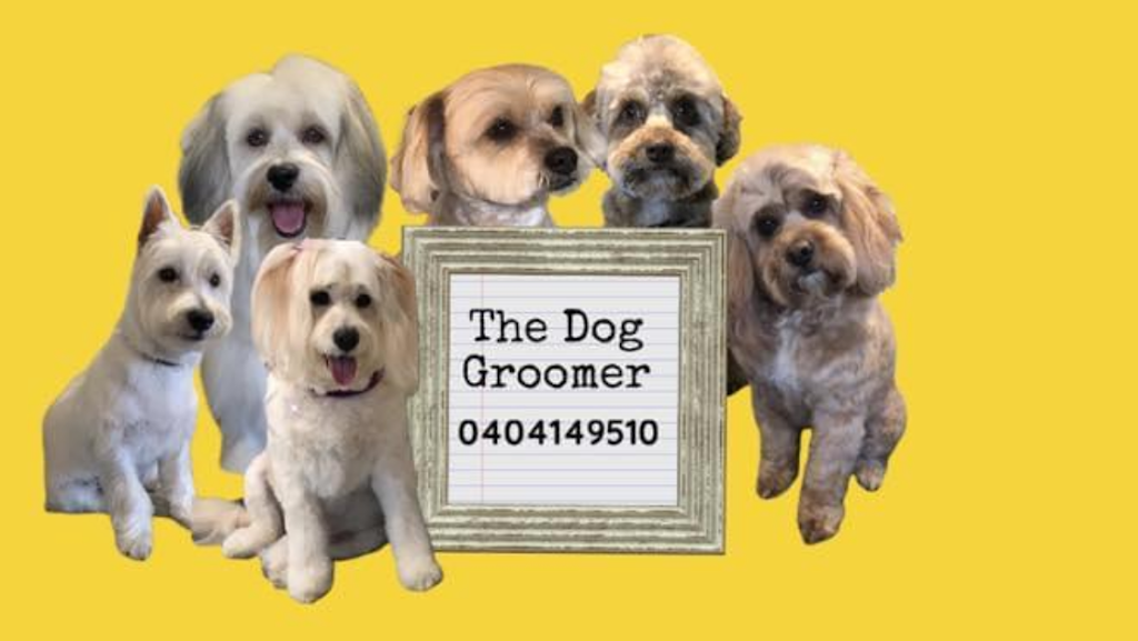 The Dog Groomer | 11 Tarrant Cl, Picton NSW 2571, Australia | Phone: 0404 149 510