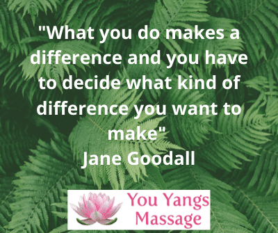 You Yangs Massage | 390 Branch Rd, Lara VIC 3212, Australia | Phone: 0429 955 145