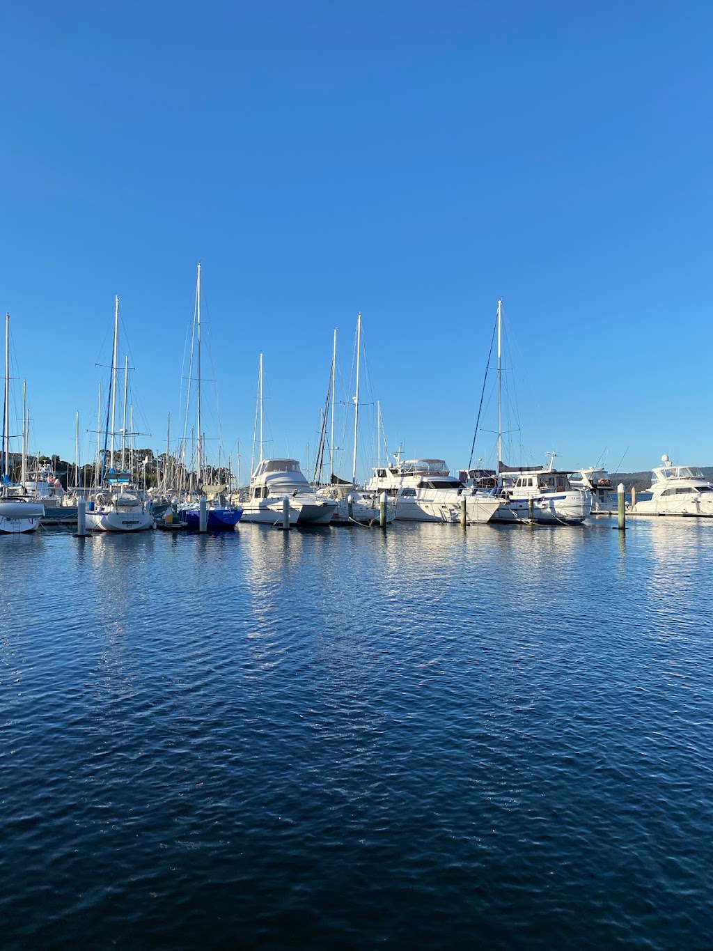 Tamar Yacht Club Marina | 1 Wharf Rd, Beauty Point TAS 7270, Australia | Phone: (03) 6331 8013