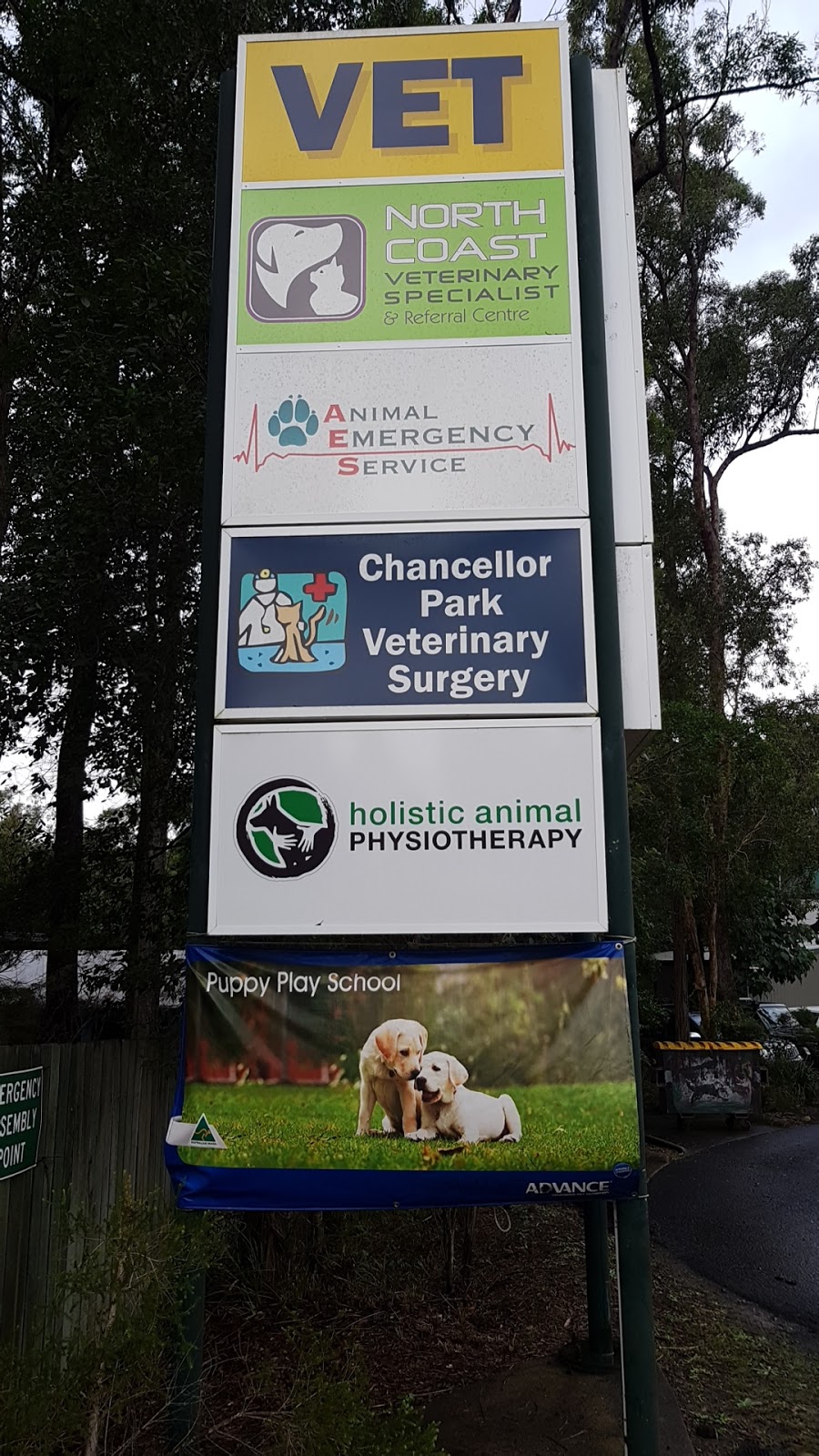 North Coast Veterinary Specialists | veterinary care | 431 Tanawha Tourist Dr, Tanawha QLD 4556, Australia | 0754537555 OR +61 7 5453 7555