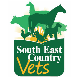 South East Country Vets - Blackbutt | veterinary care | 80 Hart St, Blackbutt QLD 4306, Australia | 0741700022 OR +61 7 4170 0022
