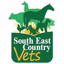 South East Country Vets - Blackbutt | 80 Hart St, Blackbutt QLD 4306, Australia | Phone: (07) 4170 0022