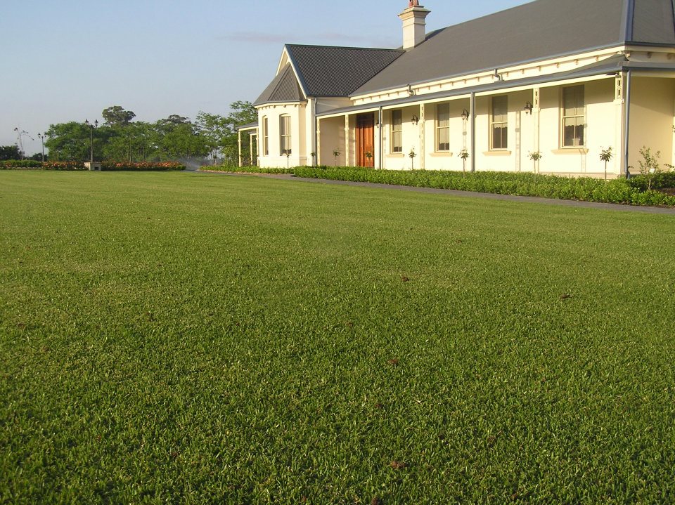 Green Life Turf |  | 56 Freemans Reach Rd, Freemans Reach NSW 2756, Australia | 1300747925 OR +61 1300 747 925