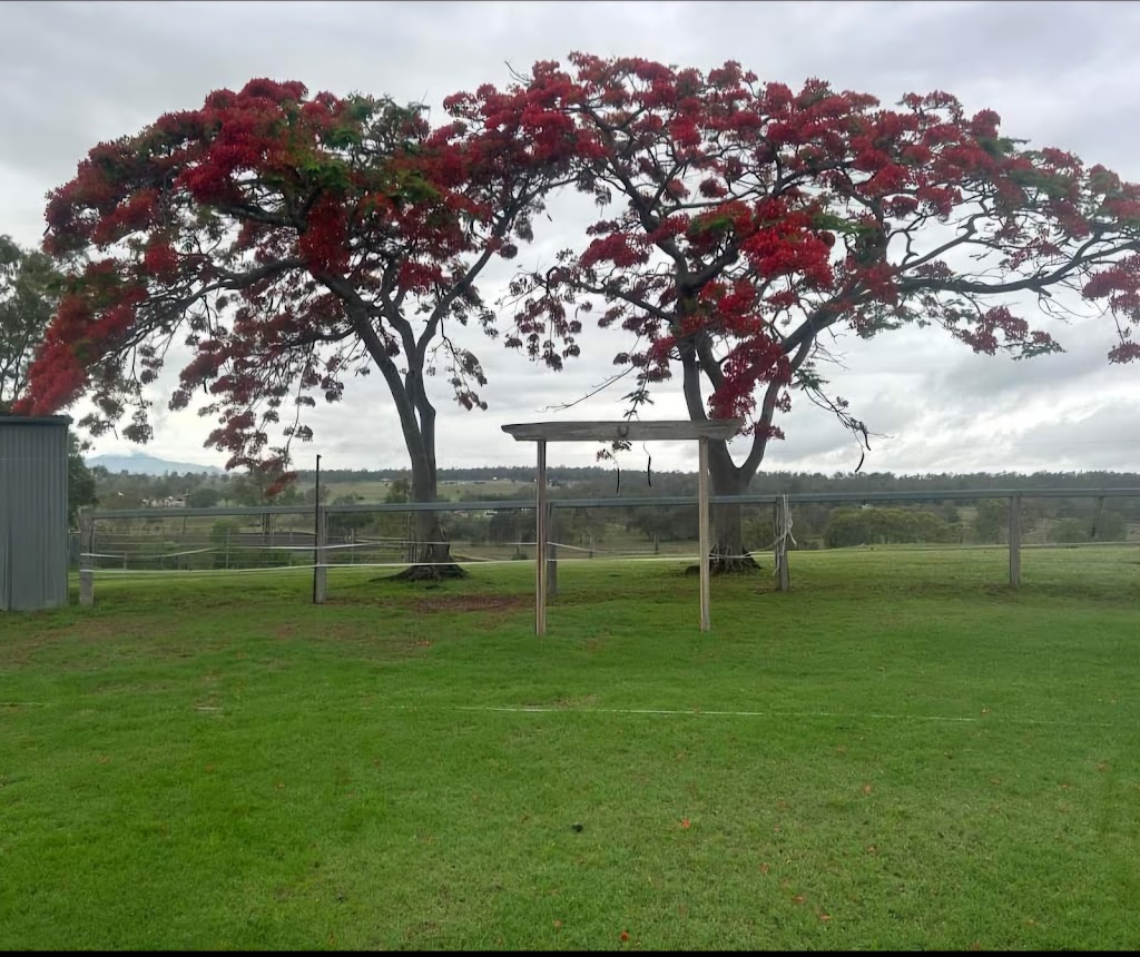 Heaven On The Hill | 104 Denman Rd, Mount Forbes QLD 4340, Australia | Phone: 0431 220 234