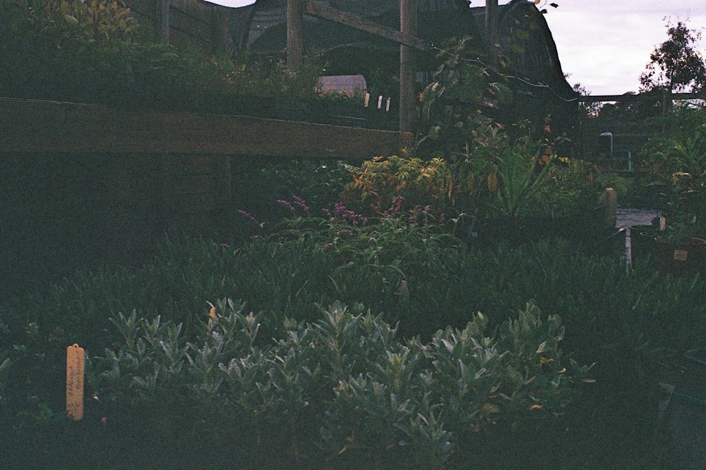 Dalpura Farm | 15 Thielemanns Rd, Gherang VIC 3240, Australia | Phone: 0407 652 554