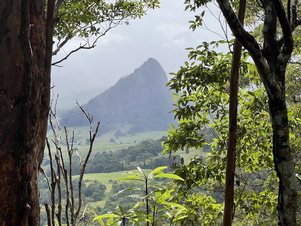 Gidjuum Gulganyi Walk | Unicorn Falls Walking Trak, Upper Main Arm NSW 2482, Australia | Phone: 1300 072 757