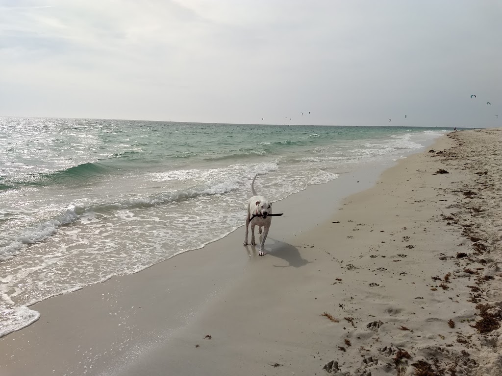 Animal Exercise Beach | Hillarys WA 6025, Australia