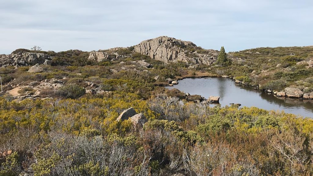 Walls of Jerusalem National Park | park | Walls of Jerusalem TAS 7304, Australia