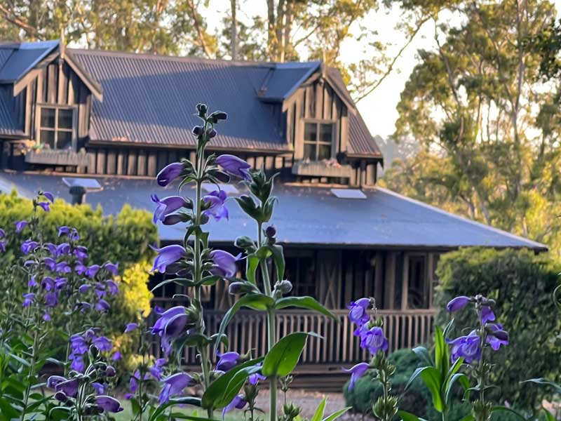 Eucalyptus Psychology | 28A Chalet Rd, Olinda VIC 3788, Australia | Phone: (03) 8740 3754