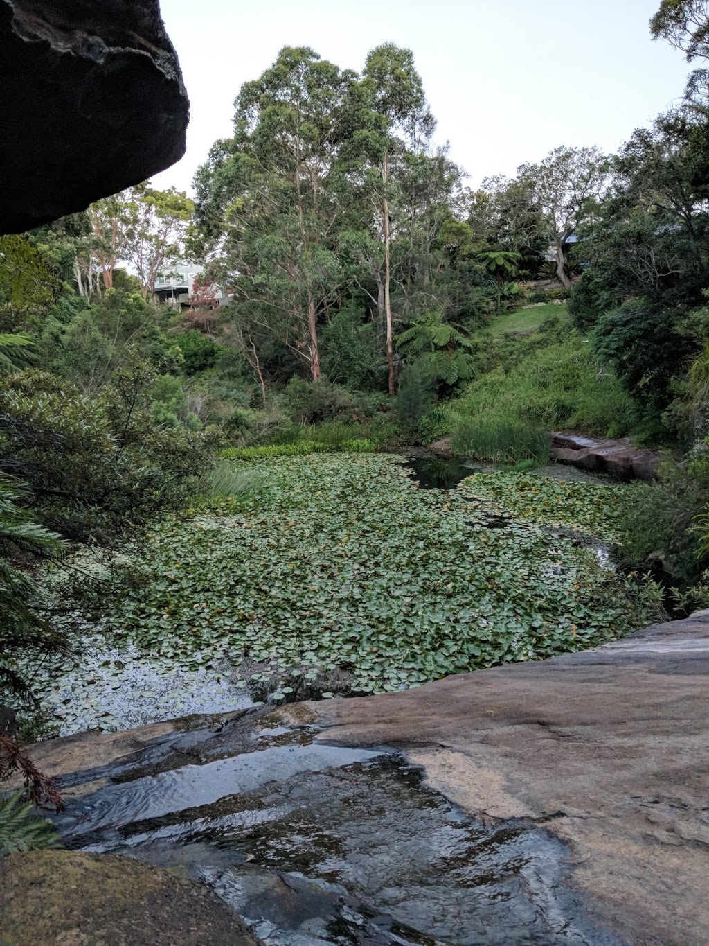 Mermaid Pool | park | 93/97 King St, Manly Vale NSW 2093, Australia