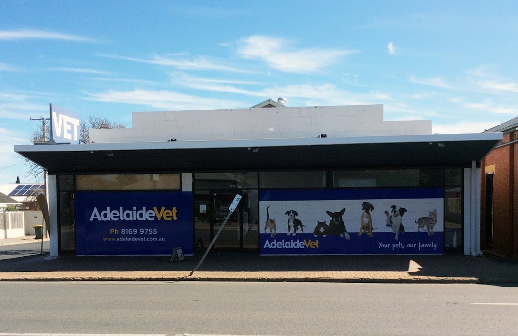 AdelaideVet Goodwood Road | veterinary care | 446 Goodwood Rd, Cumberland Park SA 5041, Australia | 0881699755 OR +61 8 8169 9755