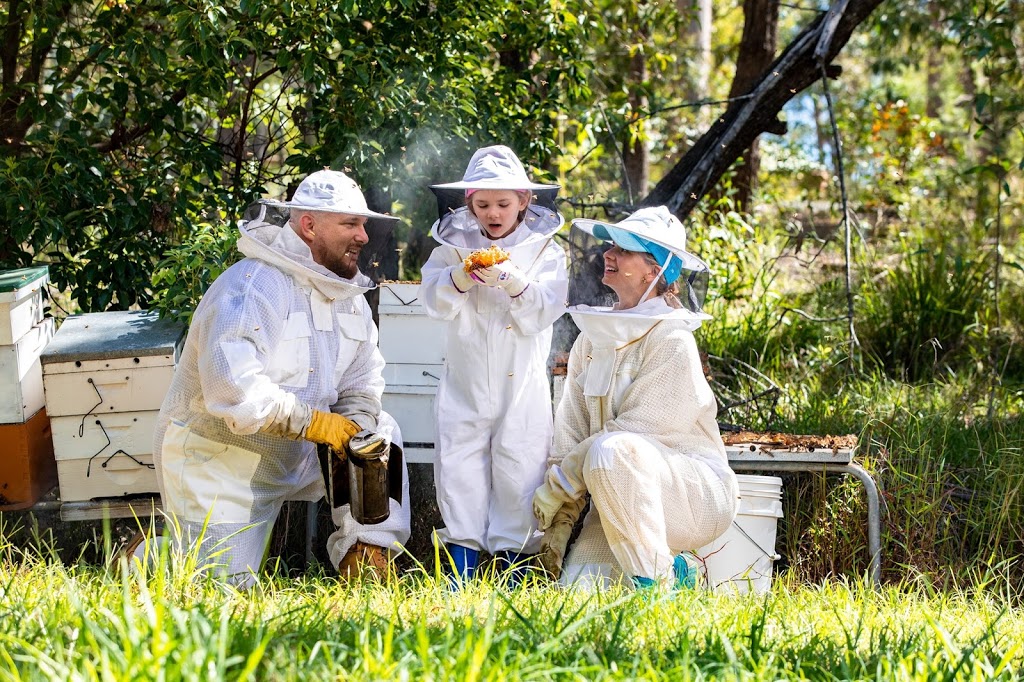 Logan & Surrounds Bee Rescue | 313-317 Bushman Dr, Jimboomba QLD 4280, Australia | Phone: 0412 850 065