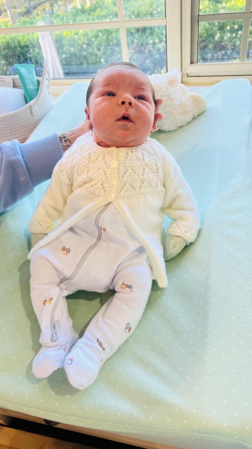 Quality property maintenance Sydney | Mulgoa Rd, Mulgoa NSW 2745, Australia | Phone: 0452 621 181