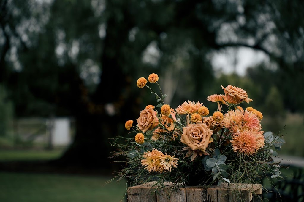 Will & Wild | 15 Maybon Cl, Branxton NSW 2335, Australia | Phone: 0490 118 968