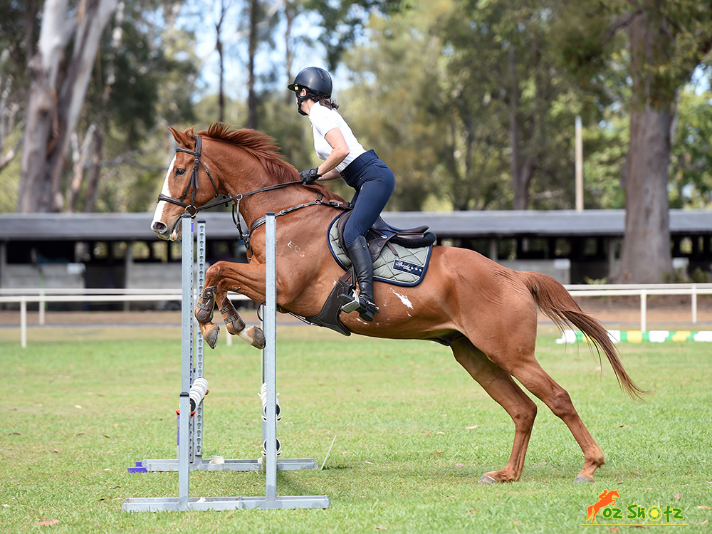 Hiddy and Co | 80 Upper Crystal Creek Rd, Upper Crystal Creek NSW 2484, Australia | Phone: 0412 040 636