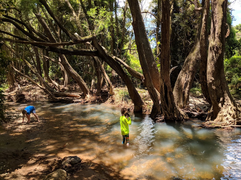 Scouts Guanaba Campsite | campground | Stony Creek,, Guanaba QLD 4210, Australia