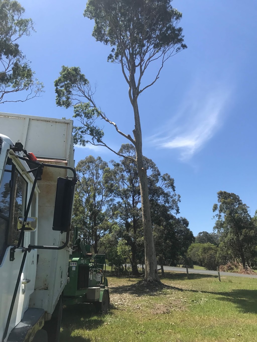 Clear view tree service |  | 34 Glacier Ln, Nabiac NSW 2312, Australia | 0499373615 OR +61 499 373 615