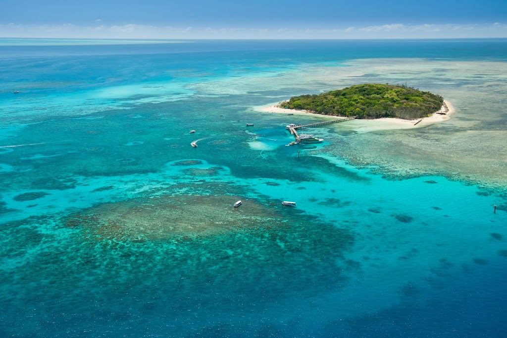 Big Cat Green Island Reef Cruises | Reef Fleet Terminal, 1 Spence St, Cairns City QLD 4870, Australia | Phone: (07) 4051 0444