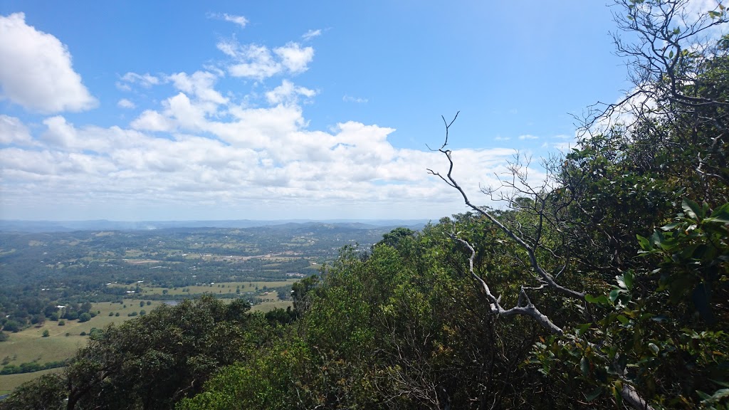 Mount Cooroy Conservation Park | Cooroy Mountain QLD 4563, Australia