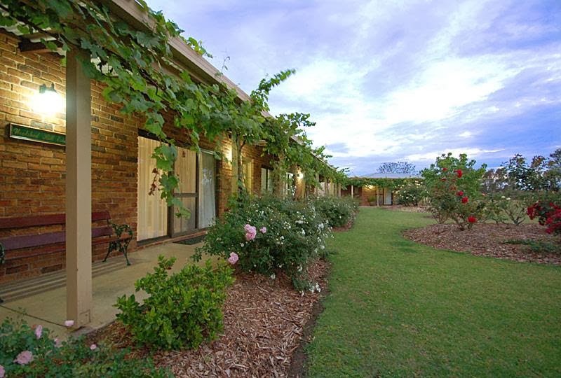 Woolshed Hill Estate | lodging | 342 Deasys Rd, Rothbury NSW 2320, Australia | 0249986961 OR +61 2 4998 6961
