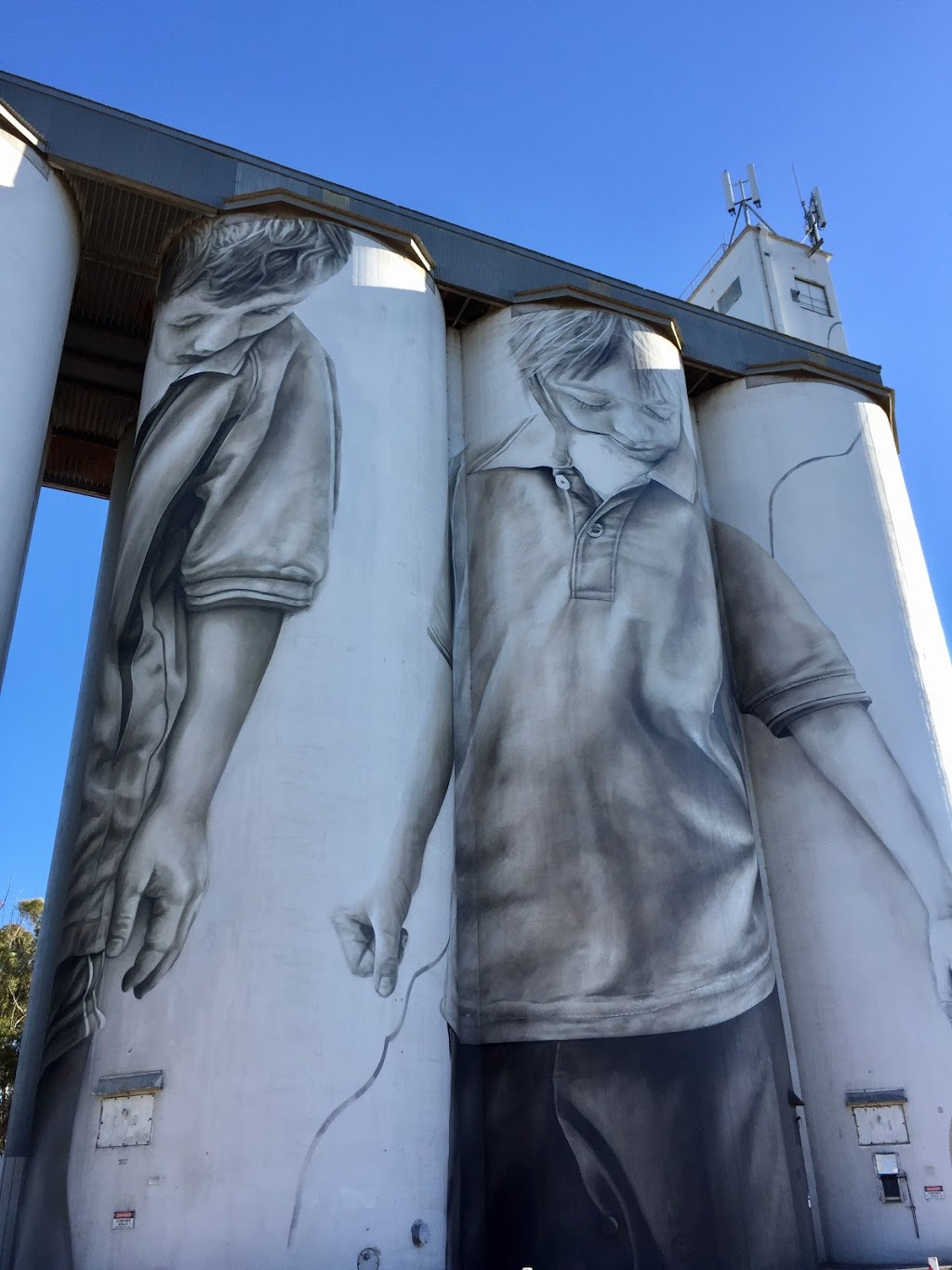 Coonalpyn Silo Mural | storage | 23-25 Poyntz Terrace, Coonalpyn SA 5265, Australia | 1300785277 OR +61 1300 785 277