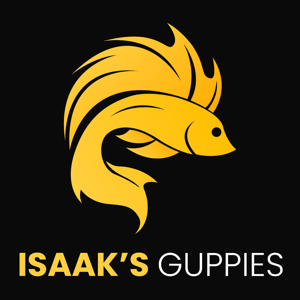 Isaak’s Guppies | 17 Colachi Rd, Truganina VIC 3029, Australia | Phone: 0403 648 859