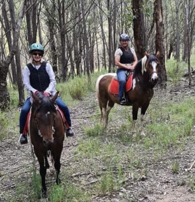 Fernhill Australia Arms | 3109 Great Western Hwy, Hartley NSW 2790, Australia | Phone: 0410 565 847