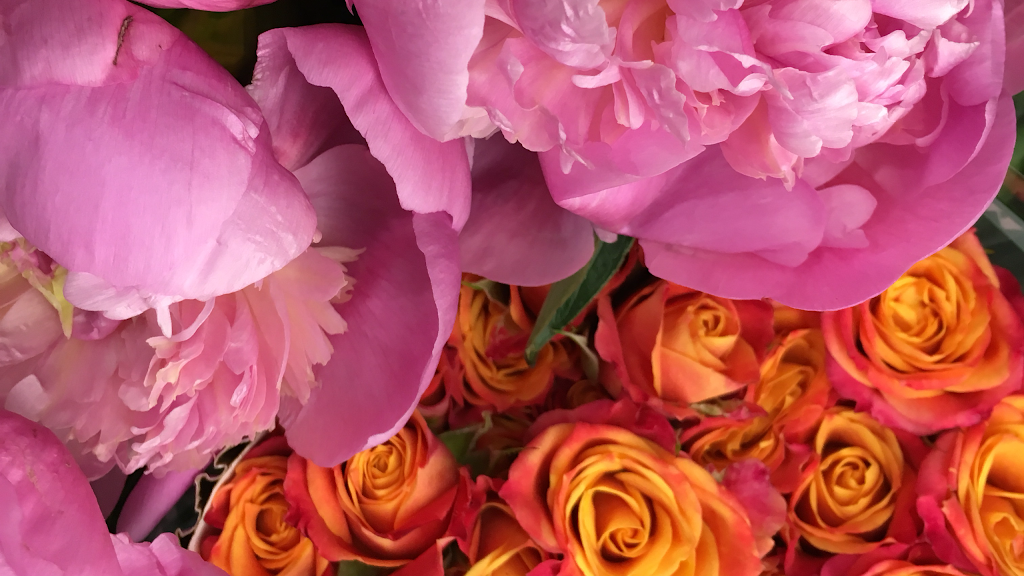 Perfect Petals - Boutique Florist | 1053 Wynnum Rd, Cannon Hill QLD 4170, Australia | Phone: (07) 3399 9659