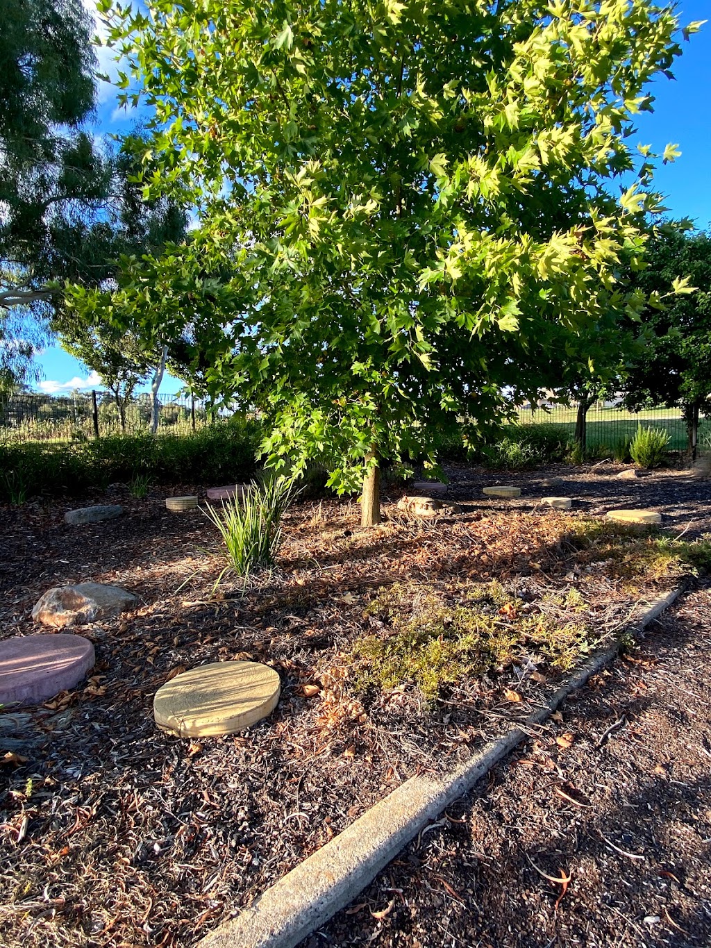 Iterra Grove Playground |  | End of, Iterra Grove, Ngunnawal ACT 2913, Australia | 132281 OR +61 132281