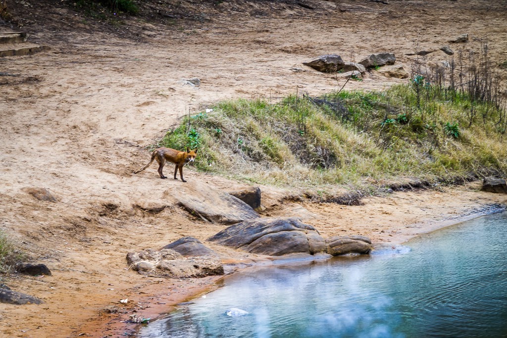 Bents Basin State Conservation Area | Silverdale NSW 2752, Australia