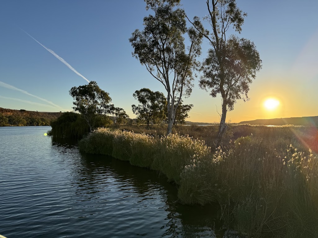 Elfin Houseboat | 100 Roper Rd, Murray Bridge SA 5253, Australia | Phone: 0417 812 529