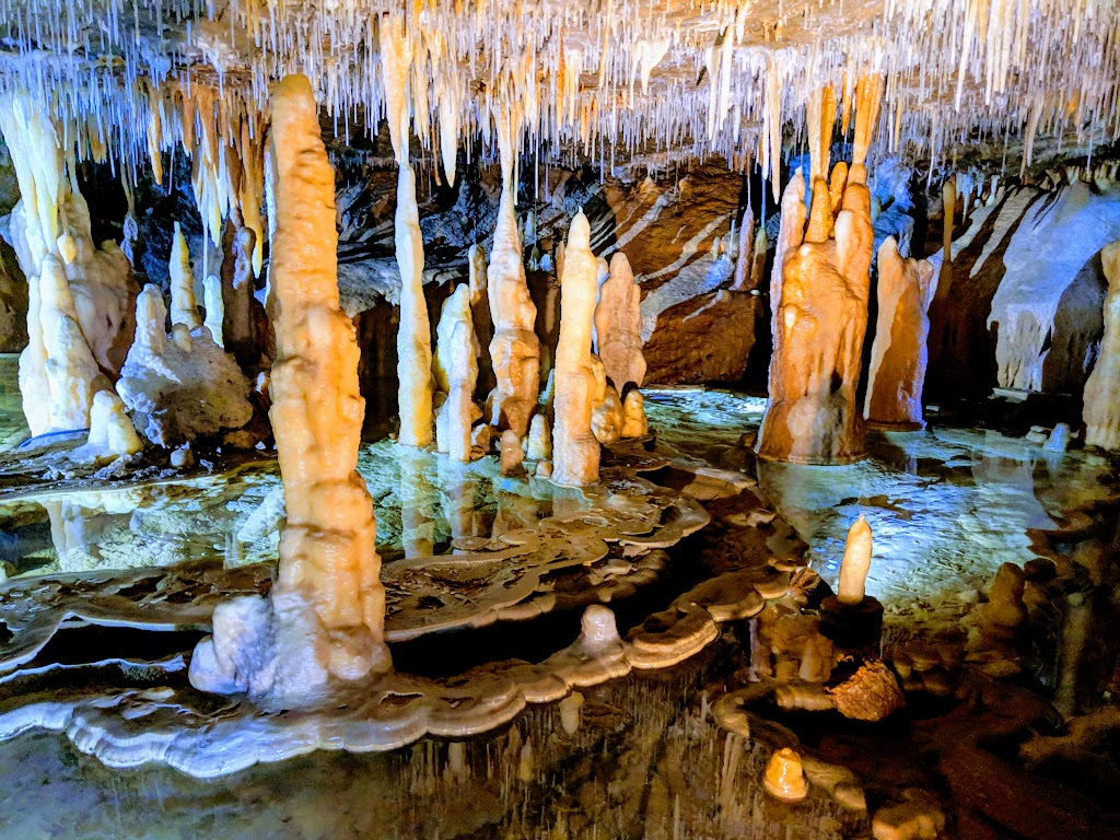 Buchan Cave Reserve | Buchan VIC 3885, Australia