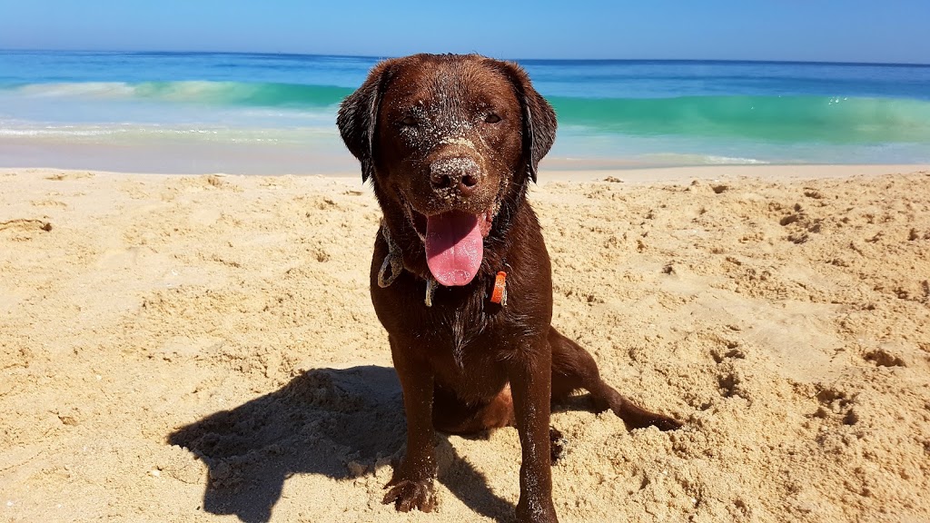 Peasholm Dog Beach | park | w 6019, 360A W Coast Hwy, Scarborough WA 6019, Australia