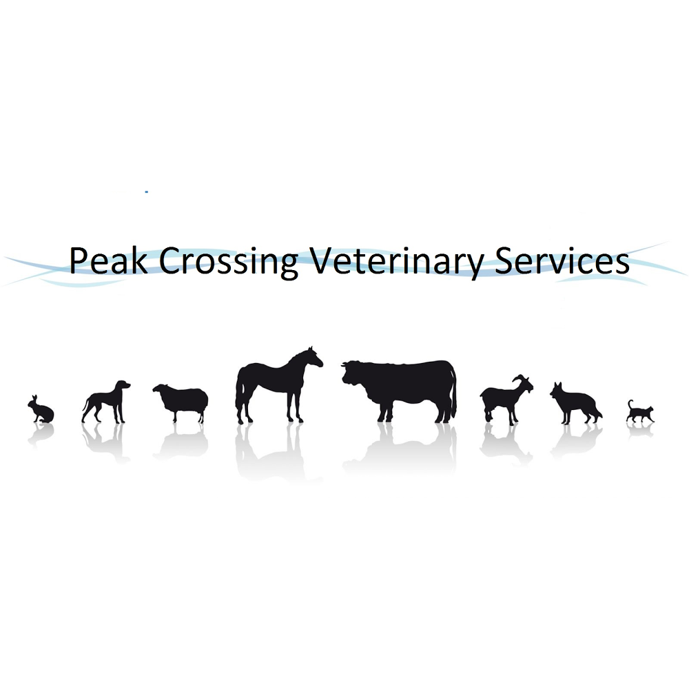 Peak Crossing Veterinary Services | veterinary care | 31 Fassifern St, Peak Crossing QLD 4306, Australia | 0754672277 OR +61 7 5467 2277