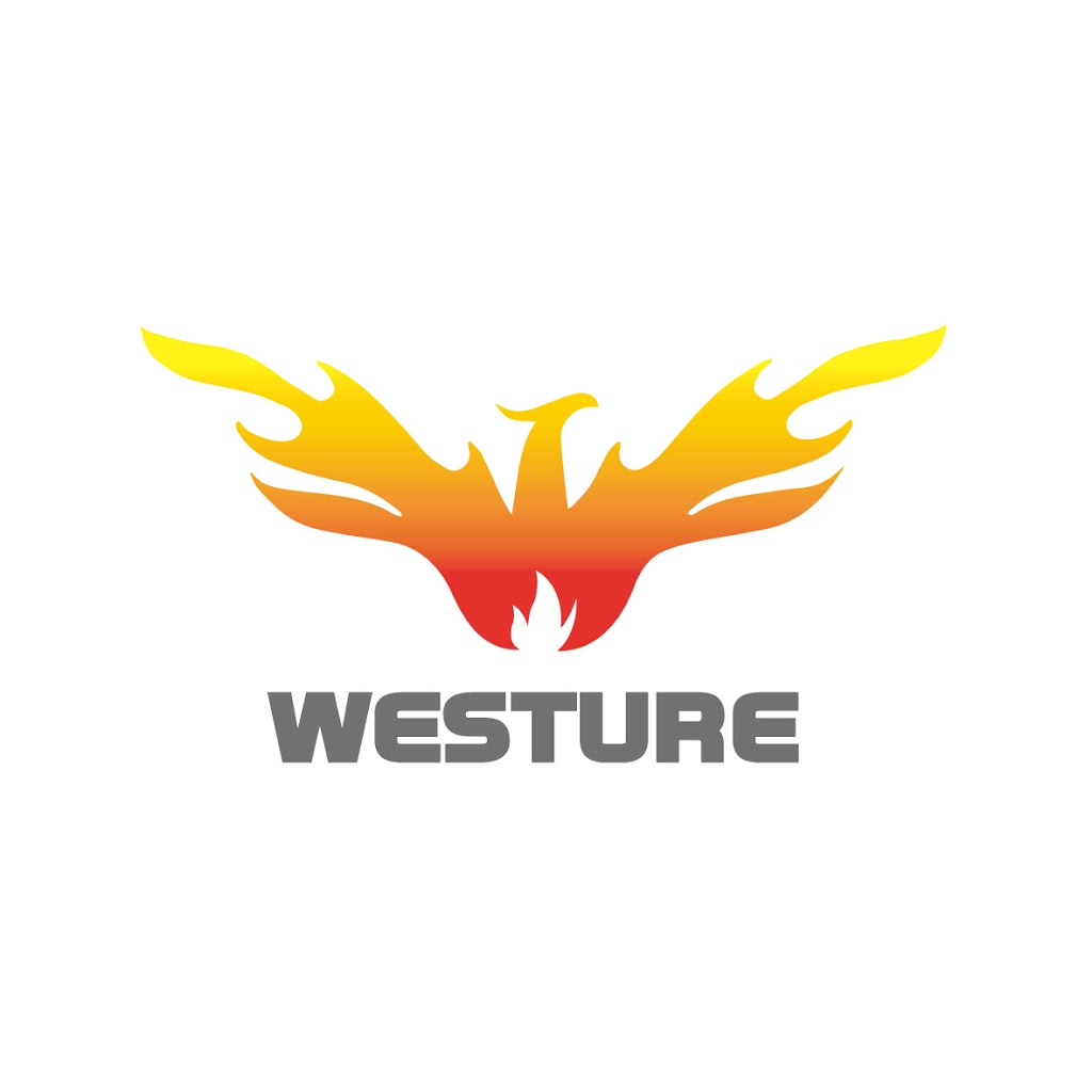 Westure Pty ltd | car repair | 6 Conder St, Burwood NSW 2134, Australia | 0467753777 OR +61 467 753 777